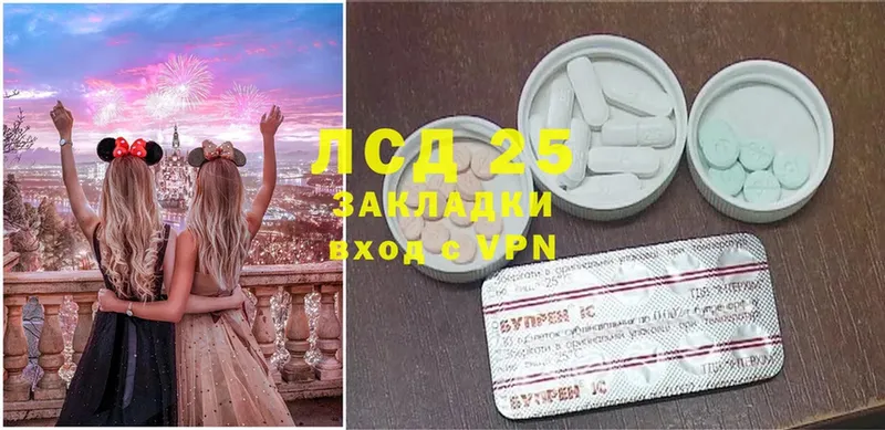 как найти наркотики  Заволжск  Лсд 25 экстази ecstasy 